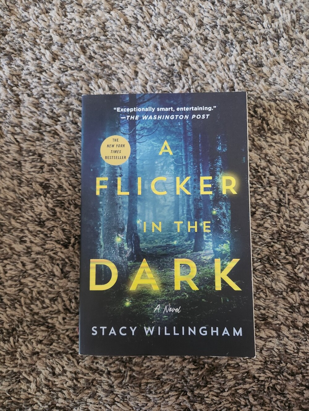 A Flicker In The Dark